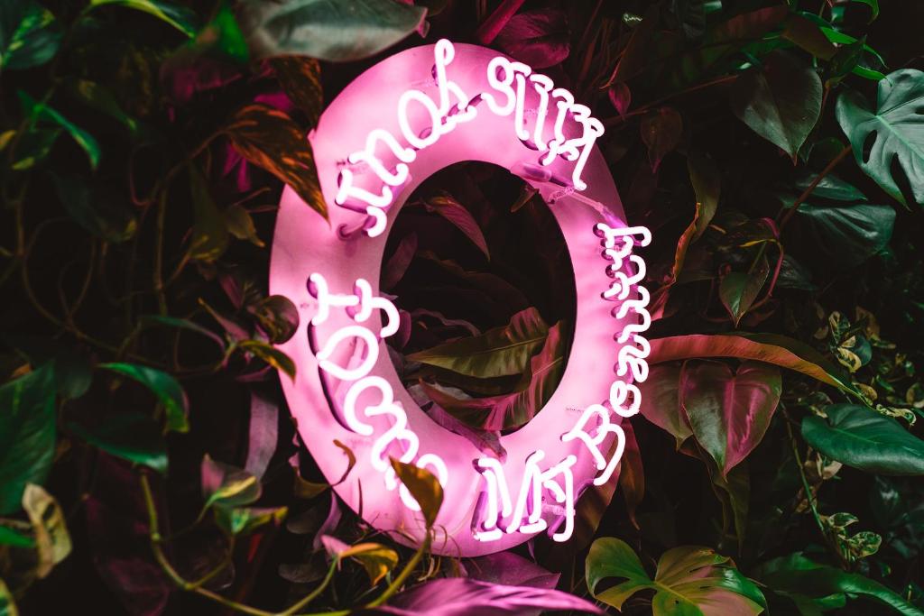 The Dutch Maastricht - Resim 42