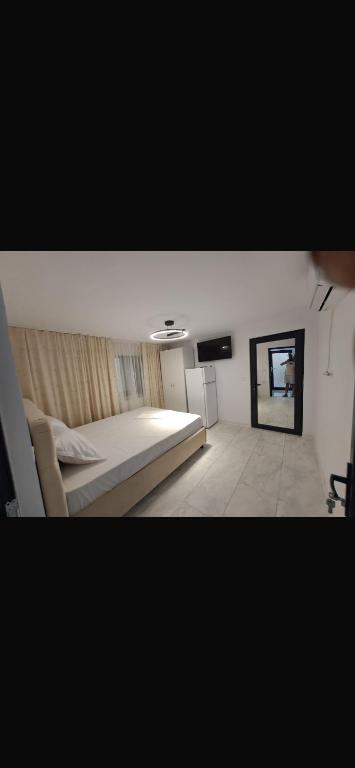 a bedroom with a large bed in a room at Garsoniera Veronica in Mangalia