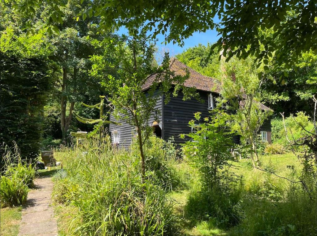 an old house in the middle of a field at 3 bedroom remote rural idyll on the North Downs in Faversham