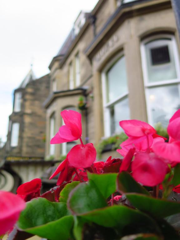 Ardmillan Hotel - Resim 42