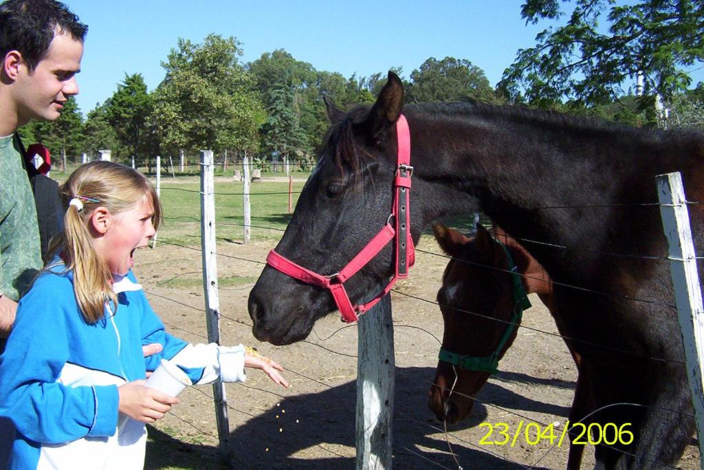 a young girl petting a black horse behind a fence at Búho Multiespacio in Villa Giardino