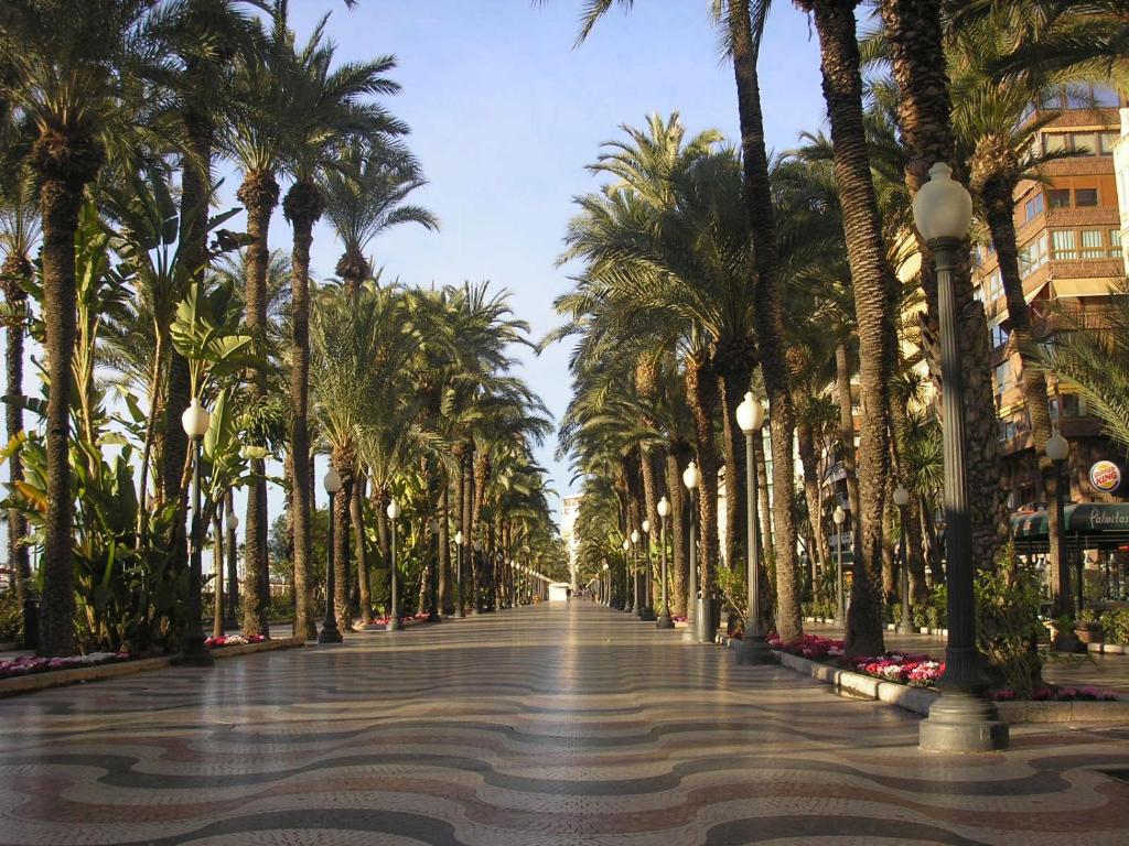 Fotografie z fotogalerie ubytování Estudio Rambla v destinaci Alicante