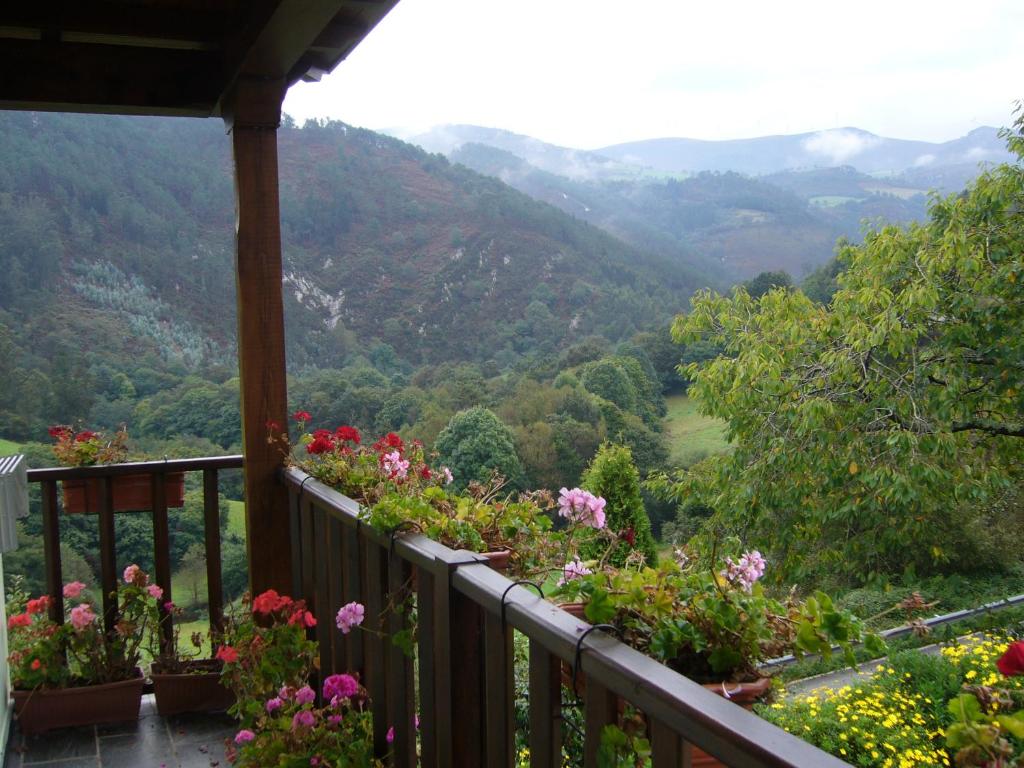 a balcony with flowers and a view of a valley at Casa Maseda in Villayón