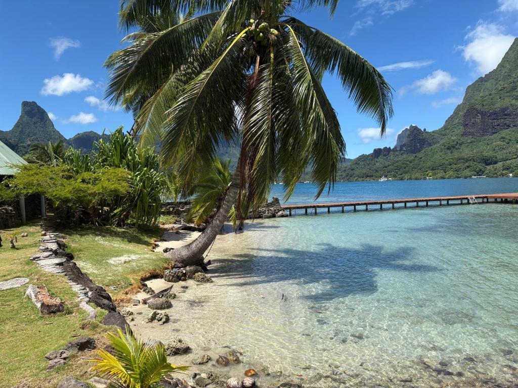 Moorea Cook Bay Rental