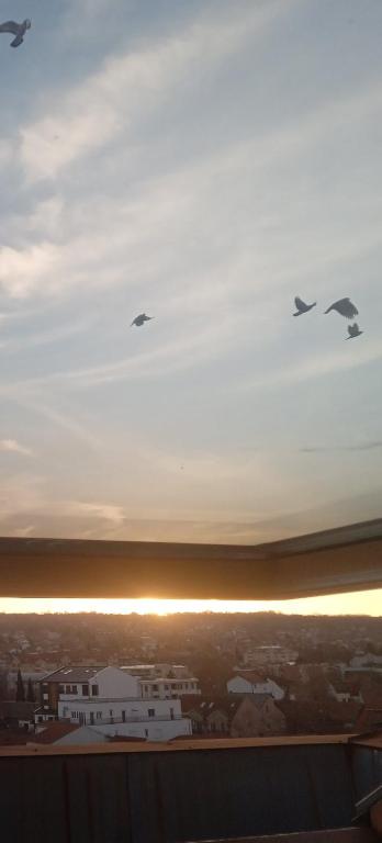 a group of birds flying in the sky over a city at Apartman Skyview in Požarevac