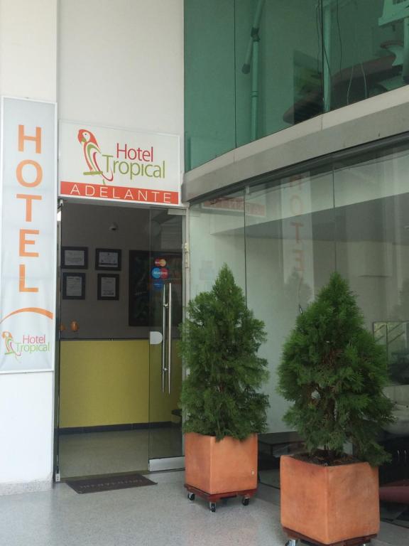 科羅薩爾的住宿－Hotel Tropical，两棵盆栽树,坐在一座建筑前面