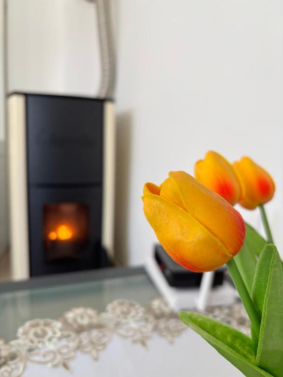 a vase of flowers on a table with a fireplace at Kiadó apartman in Borsec