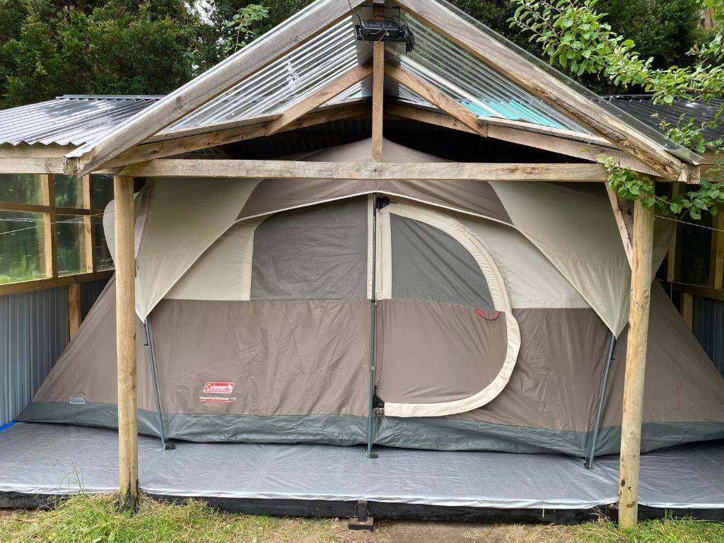 Glamping Mañihueico