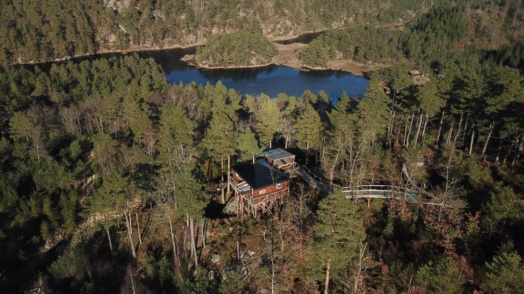 an aerial view of a truck in the middle of a forest at Gluba Treetop Cabins Elgposten in Harkmark