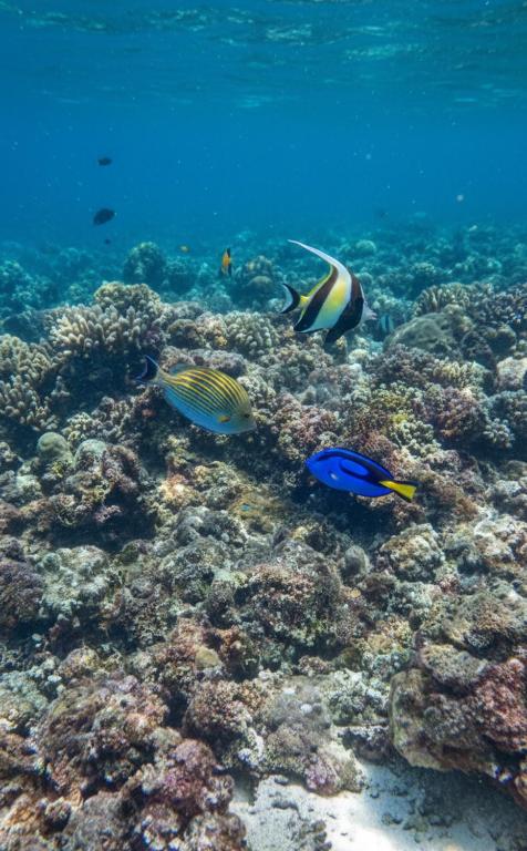 La Gautch Bungalow - 12