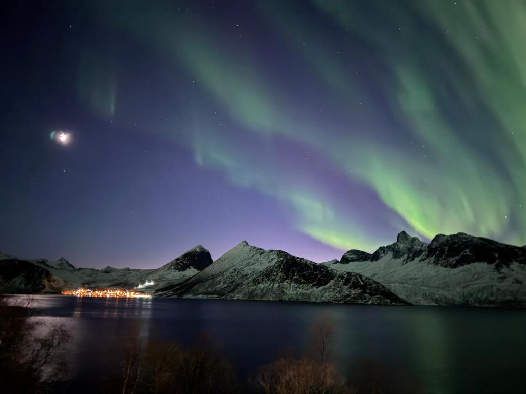 an aurora over the mountains and a lake at night at The View XL in Senja