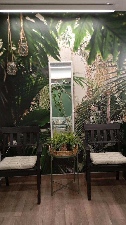 Oasis in downtown Athens