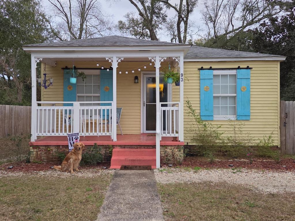 a dog sitting in front of a yellow house at The Lemon Zest Cottage Paws Welcome in Pensacola