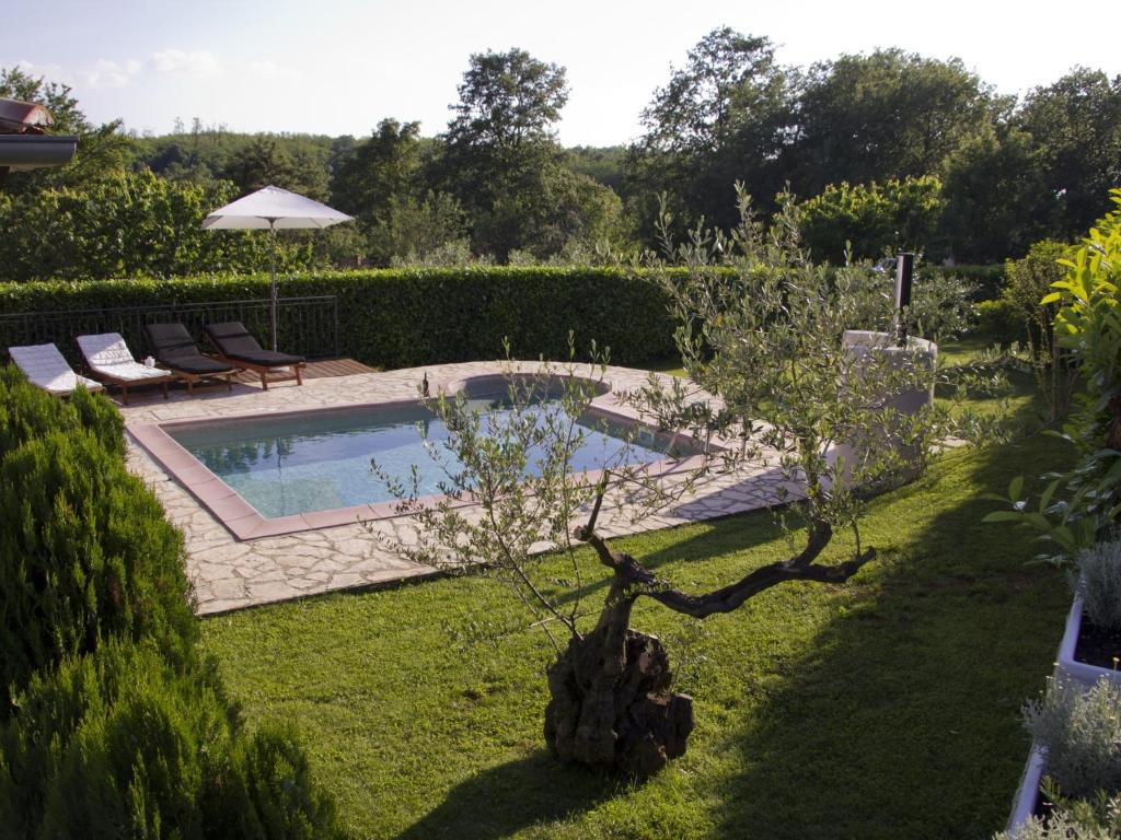 a garden with a pool and a tree in the yard at Casa Allure in Višnjan
