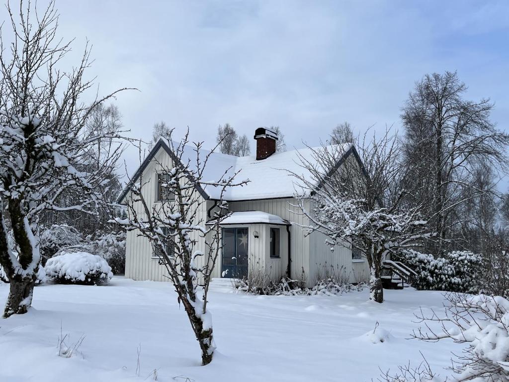 a house covered in snow with trees in the yard at Askebo Norregård in Askebo
