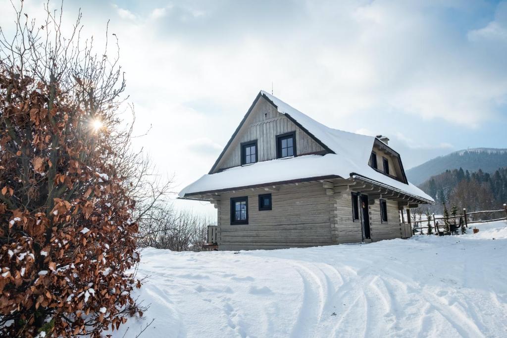 a house with snow on the roof in the snow at Chata Drienka in Terchová