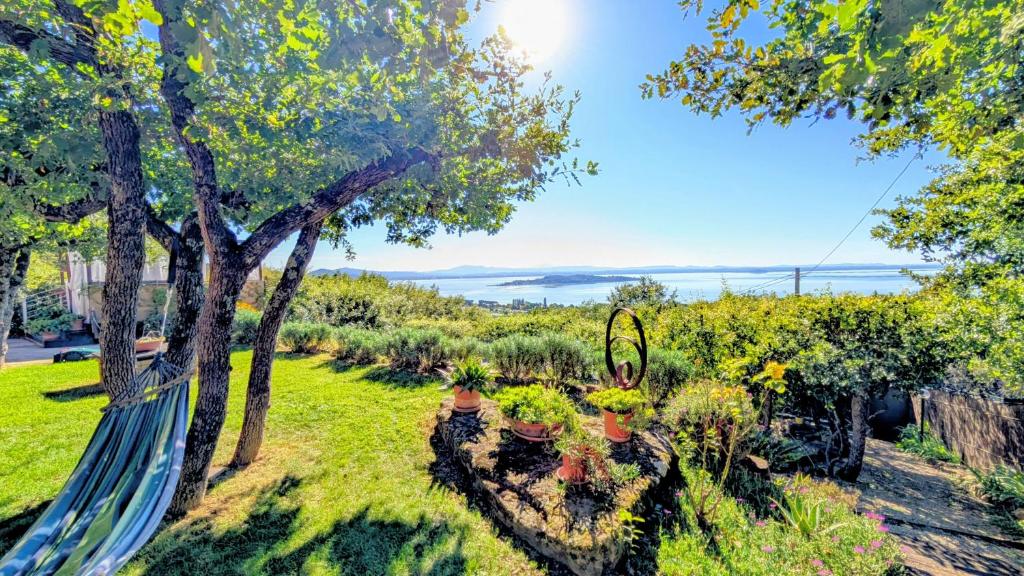 a hammock in a garden with plants at Villa Vista Lago con Jacuzzi e Campo Volley in Monte del Lago