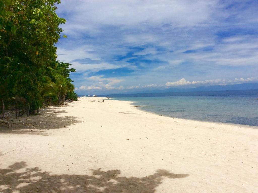 a sandy beach with trees and the ocean at Ravenala Beach Bungalows in Moalboal