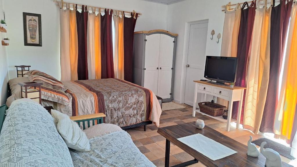 a living room with a bed and a tv at Nyumba in Colonia Nuevo Paysandú
