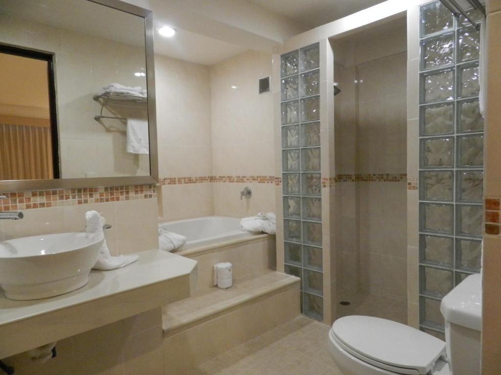 Koupelna v ubytování Hotel Victoria Merida