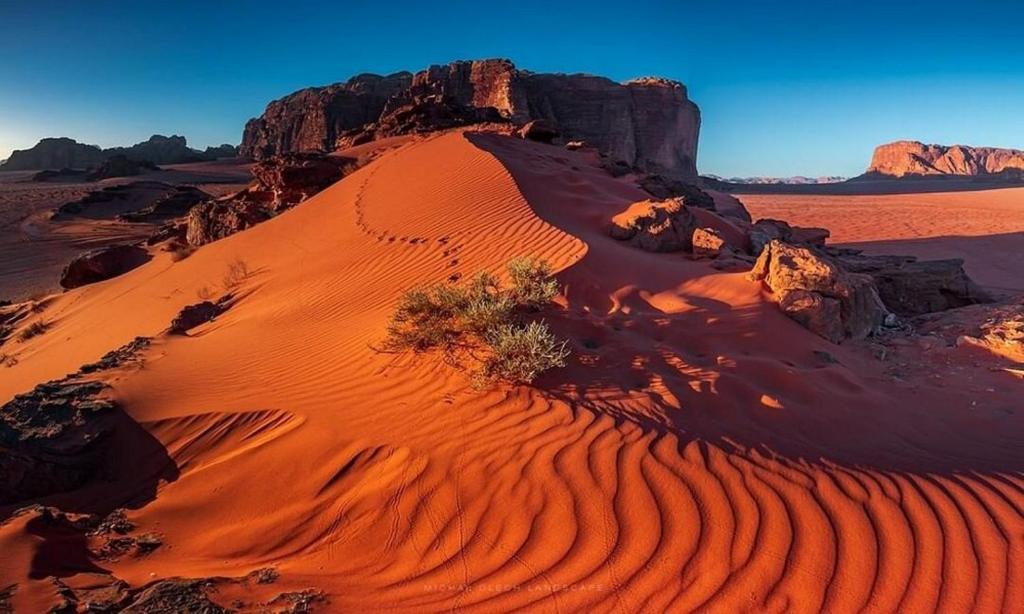 un deserto con una montagna sullo sfondo di Milky Way Nights Camp a Wadi Rum