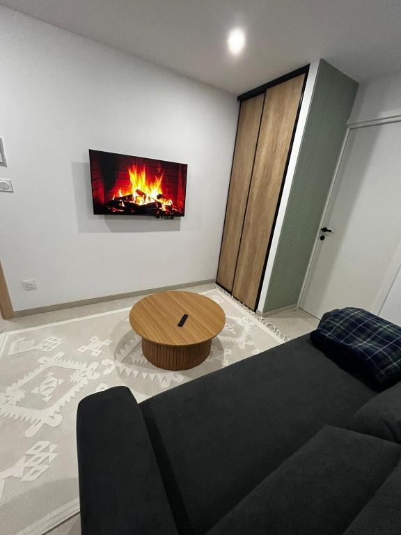 a living room with a couch and a fire on the wall at Studio 2 personnes maximum in Saint-Andiol