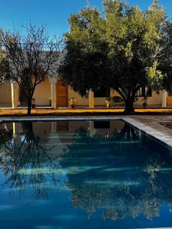 a pool of water with trees and a building at Dar Laydam in Aït Zat