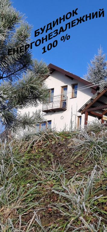 a house on a hill with trees in front of it at Біля лісу Шале з двома спальнями in Slavske