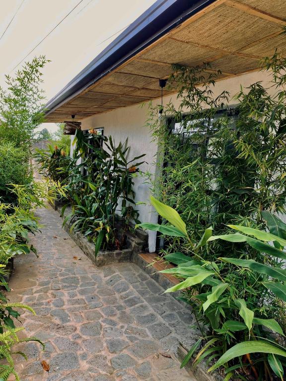 a house with a stone walkway with plants around it at The gorilla hideout in Ruhengeri