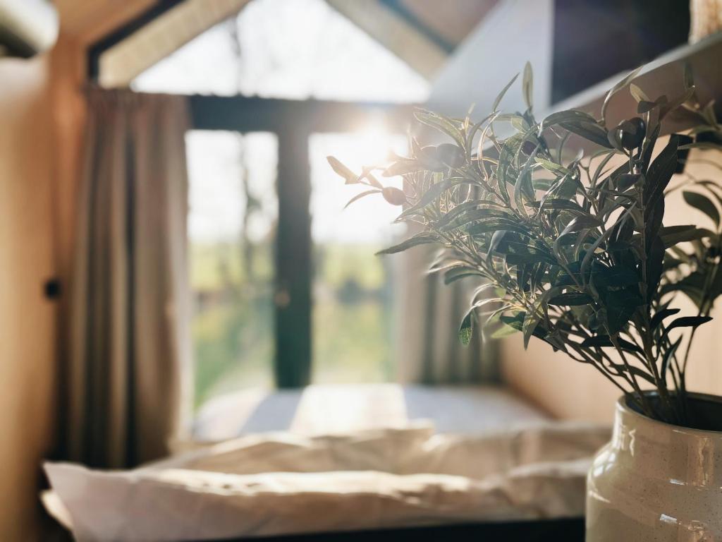 a vase with a plant on a table next to a window at Tiny Cabin met airco en privé hottub in Rutten