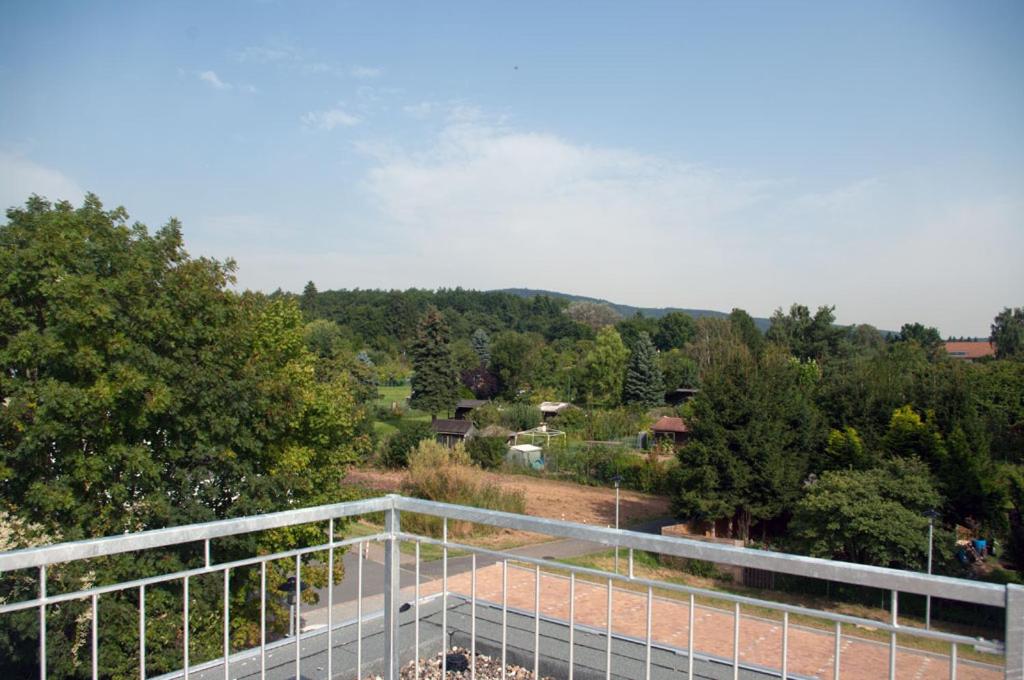 Příroda nedaleko hotelu