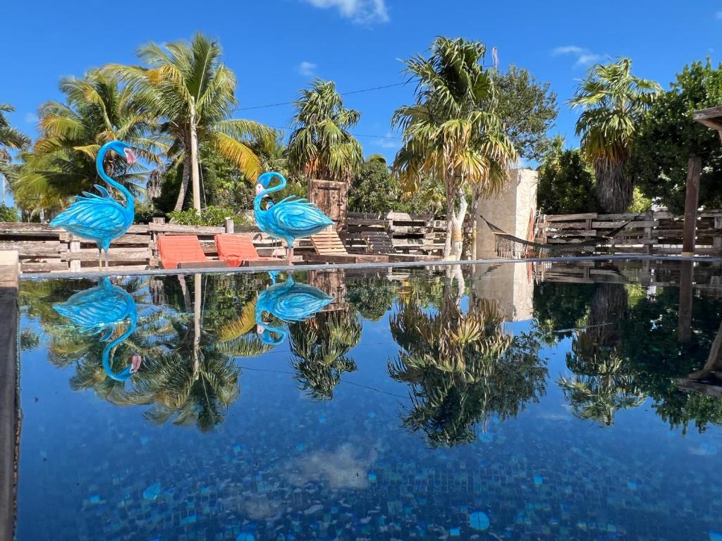 two blue flamingos sitting on chairs in a pool of water at Flamingo Blue - Casa Boutique - Adults Only in El Cuyo