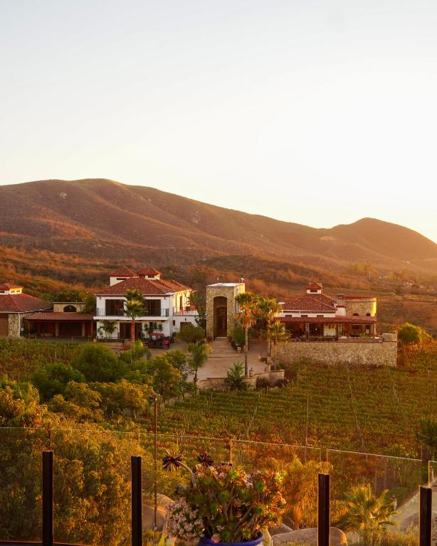 a group of houses in a field with a mountain at Hacienda Martlot in Ensenada