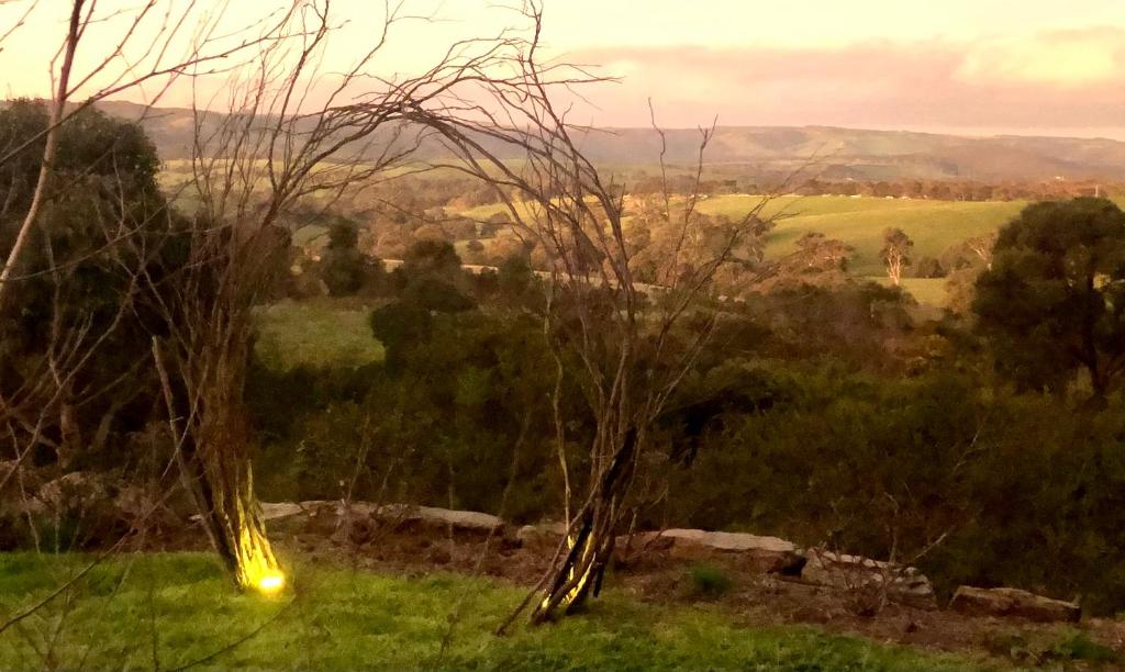 a view of a field with trees and a sunset at Pear Tree Hollow in Bald Hills