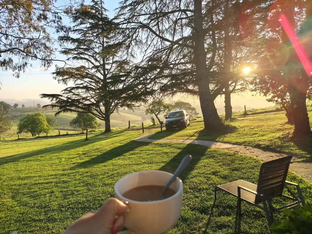 a person holding a cup of coffee in a park at Fernbrook Lodge in Dorrigo