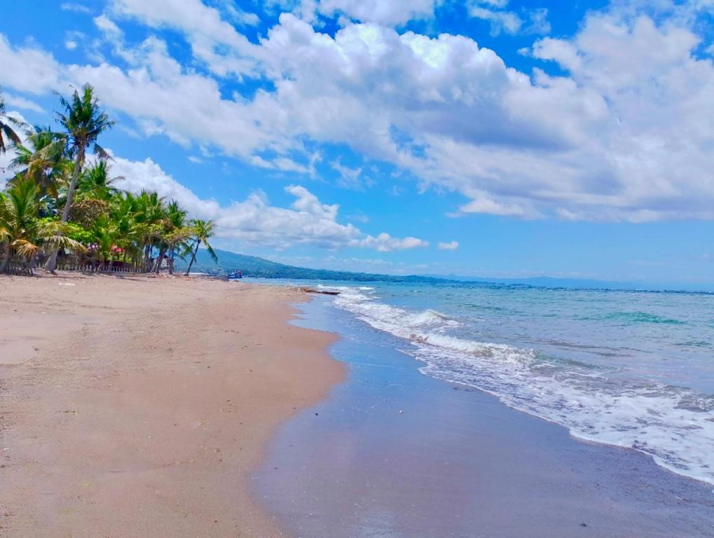 a beach with palm trees and the ocean at Nice Whitepebbles Beach Front in Sibulan