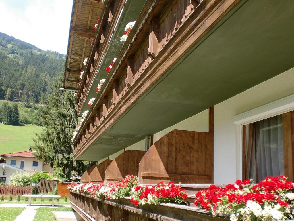 Nespecifikovaný výhled na hory nebo výhled na hory při pohledu z hotelu