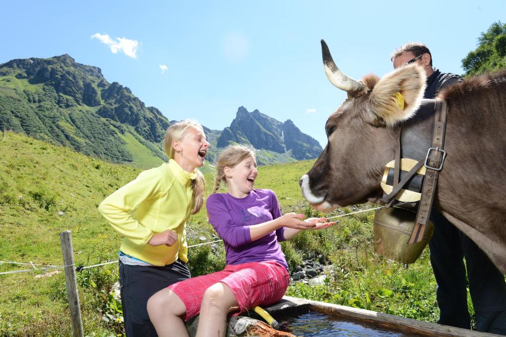 Zvířata v hotelu nebo okolí