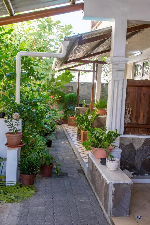 a garden with potted plants on a patio at Chez Jenny port Mathurin in Rodrigues Island