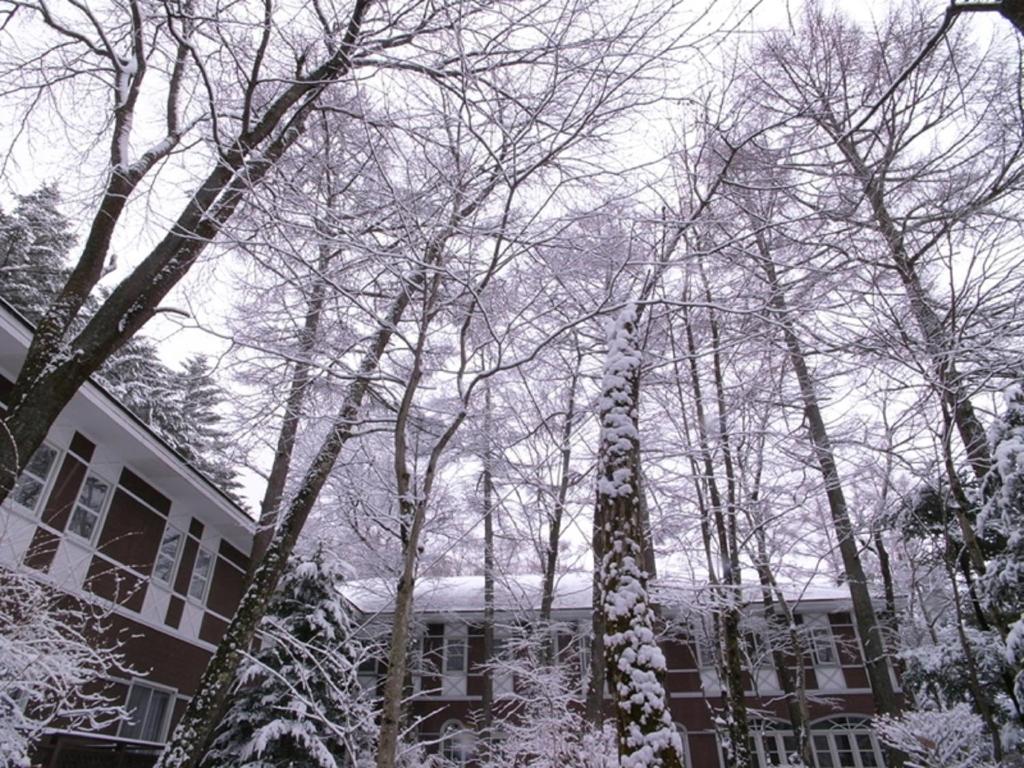 Kyu Karuizawa Hotel Otowa No Mori v zimě