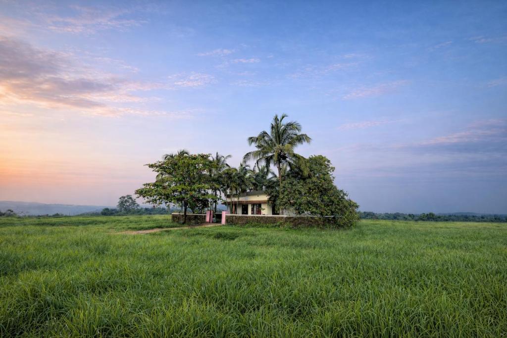 a house in the middle of a field with a palm tree at Golden Breeze Bekal in Bedadka