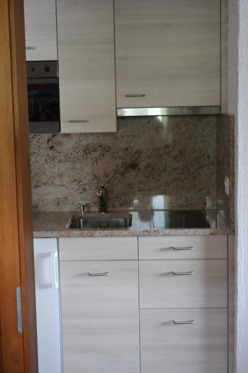 Kuchyň nebo kuchyňský kout v ubytování Hus Pravis