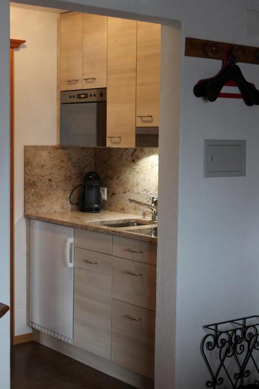 Kuchyň nebo kuchyňský kout v ubytování Hus Pravis