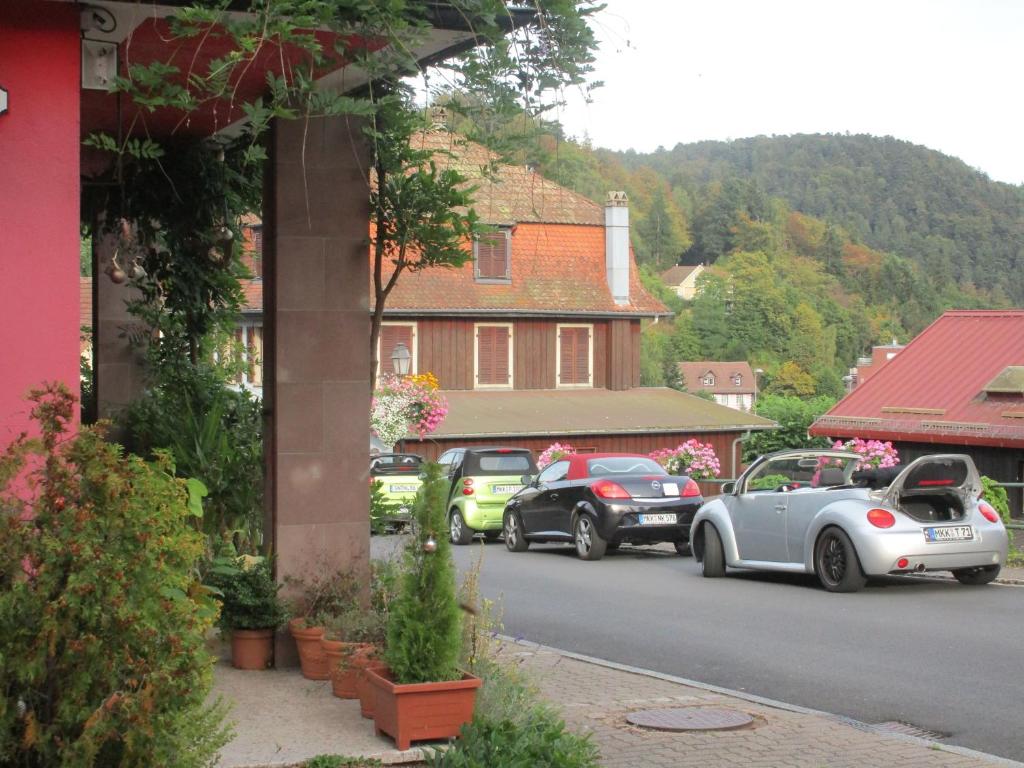 Tilly's B&B and apartment house - Chalet (6 Adultes)