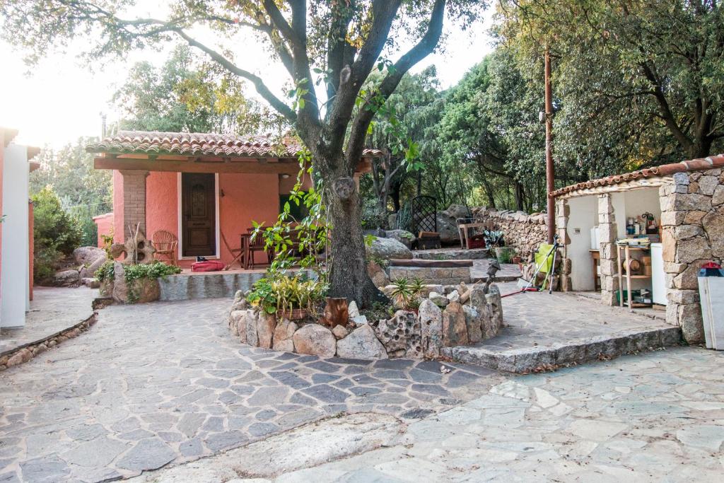 una casa con un árbol en medio de un patio en Casa vacanze San Pantaleo, en San Pantaleo