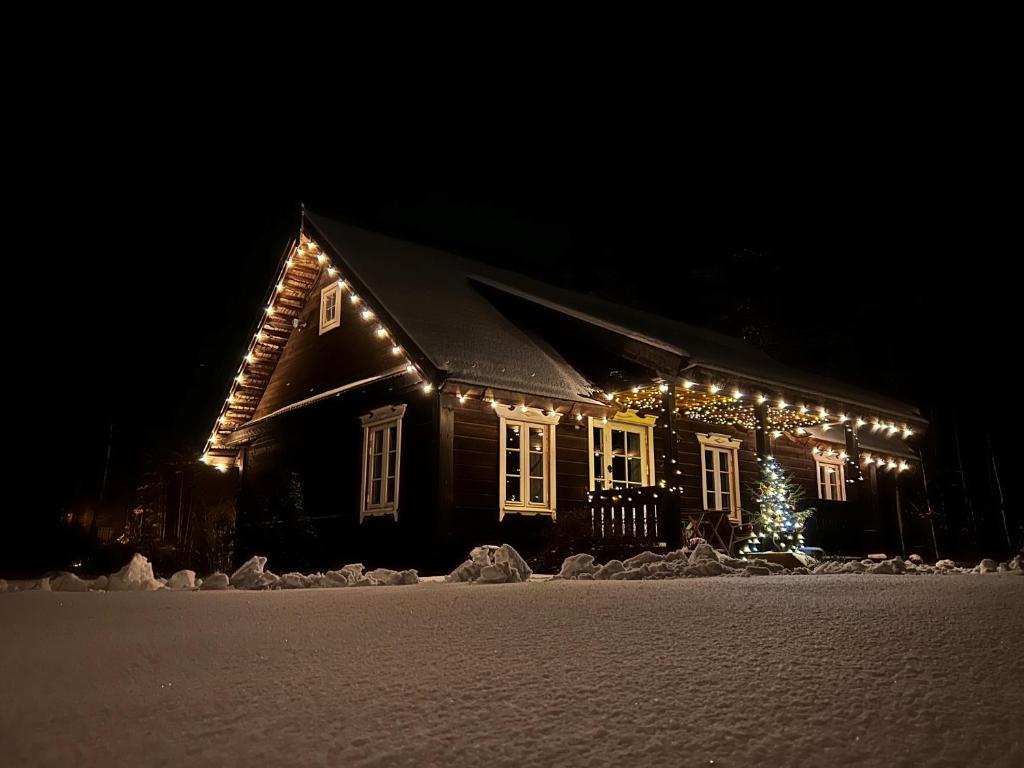 Rustic Guesthouse in Pine Forest - Two-Bedroom House
