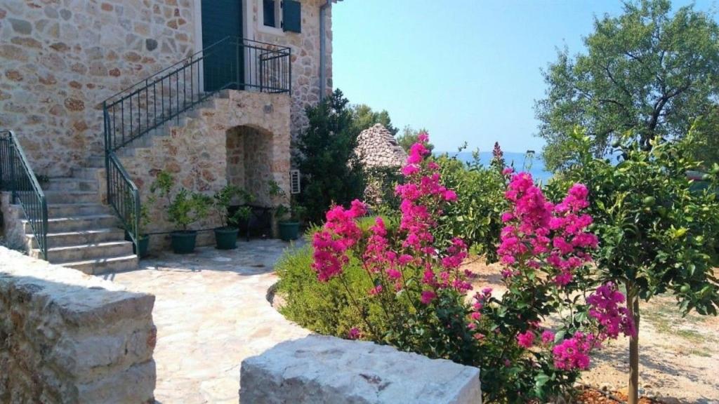 a garden with pink flowers in front of a building at Apartment Zvonimir in Igrane