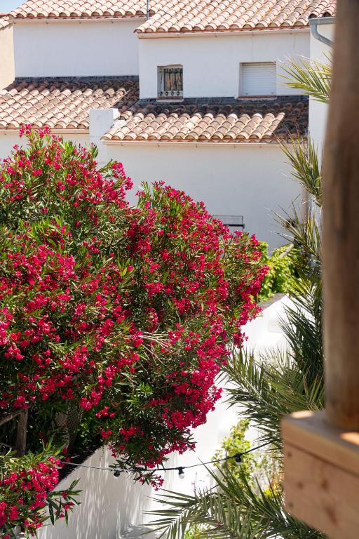 Hôtel Casa Marina - 6