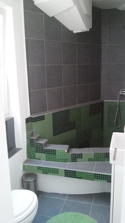 a bathroom with a bath tub and a toilet at City Apartment Goga in Pula