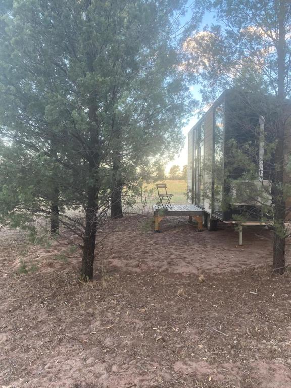 a tent and a bench in a field with trees at Plain Bush by Tiny Away in Bohena Creek